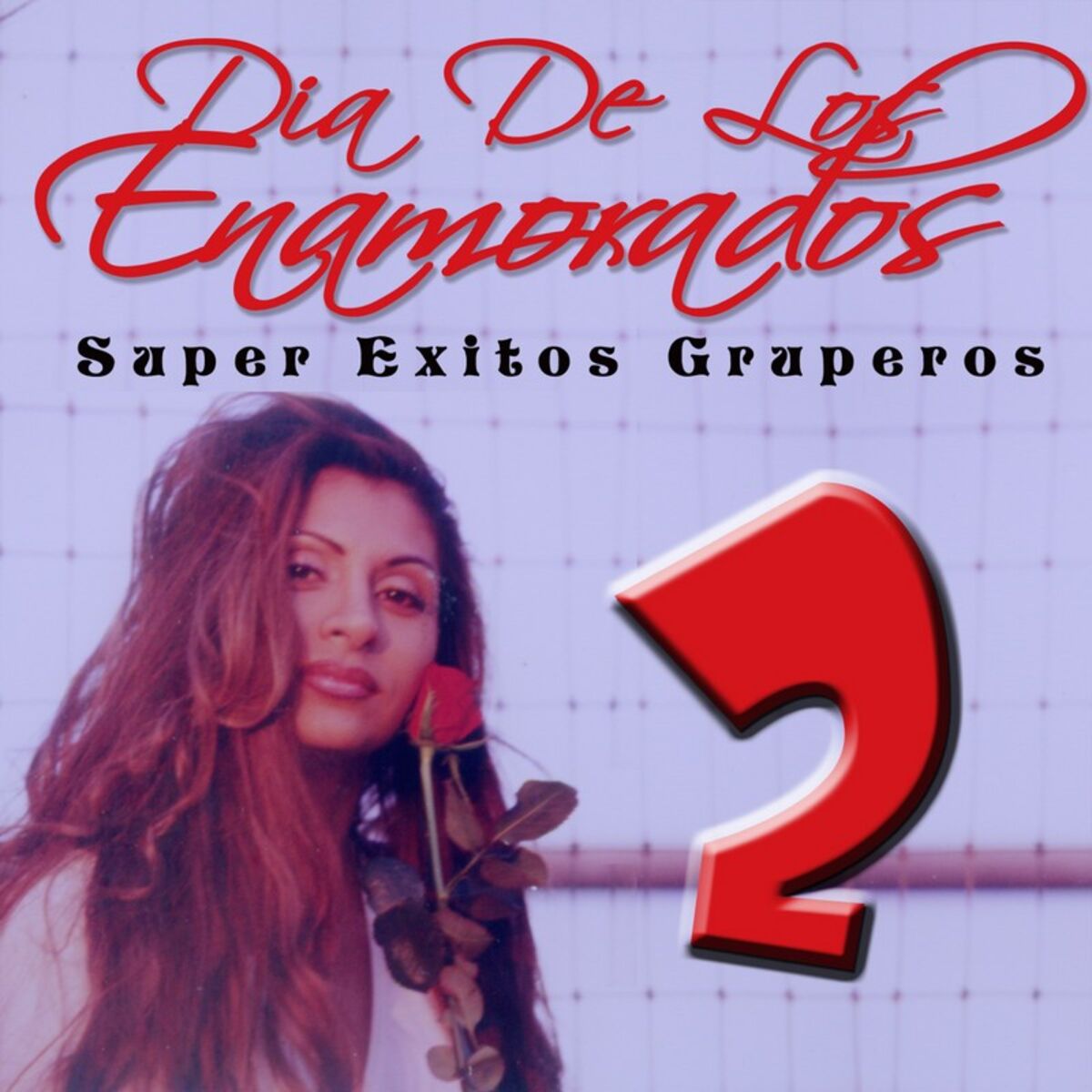 Album cover of Dia de los Enamorados: Super Exitos Gruperos, Vol. 2