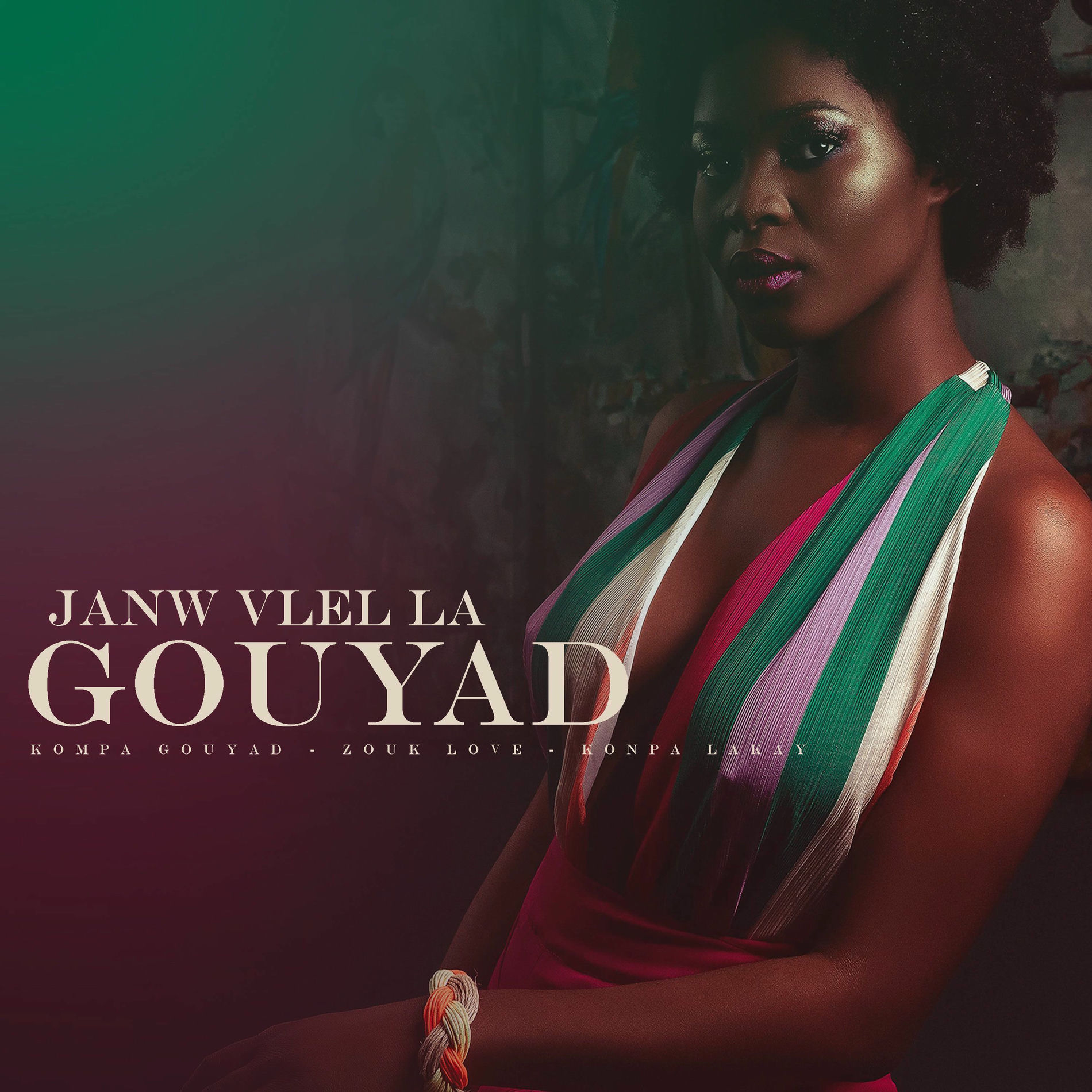 Album cover of Janw Vlel La Gouyad