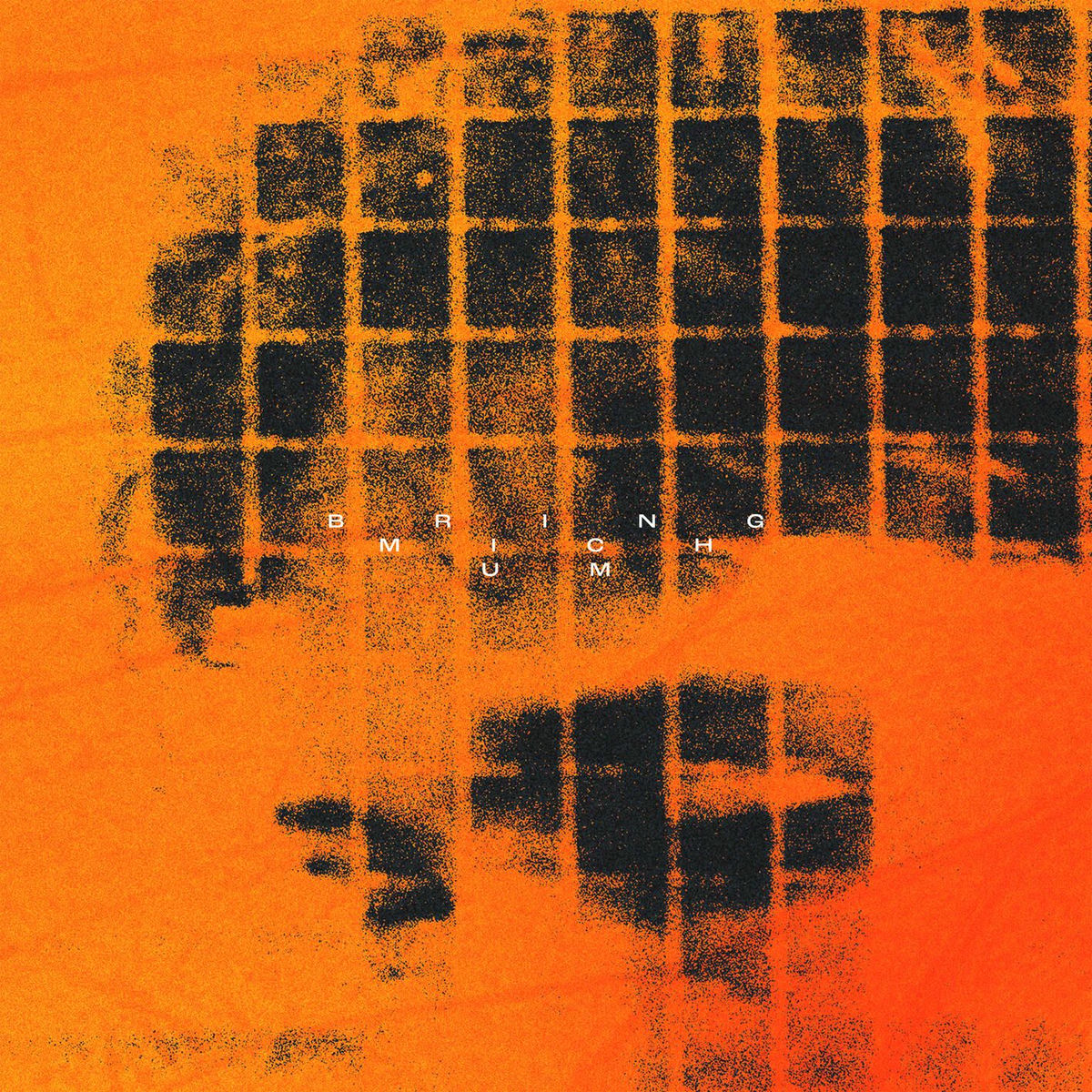 Album cover of T13 - „BRING MICH UM“