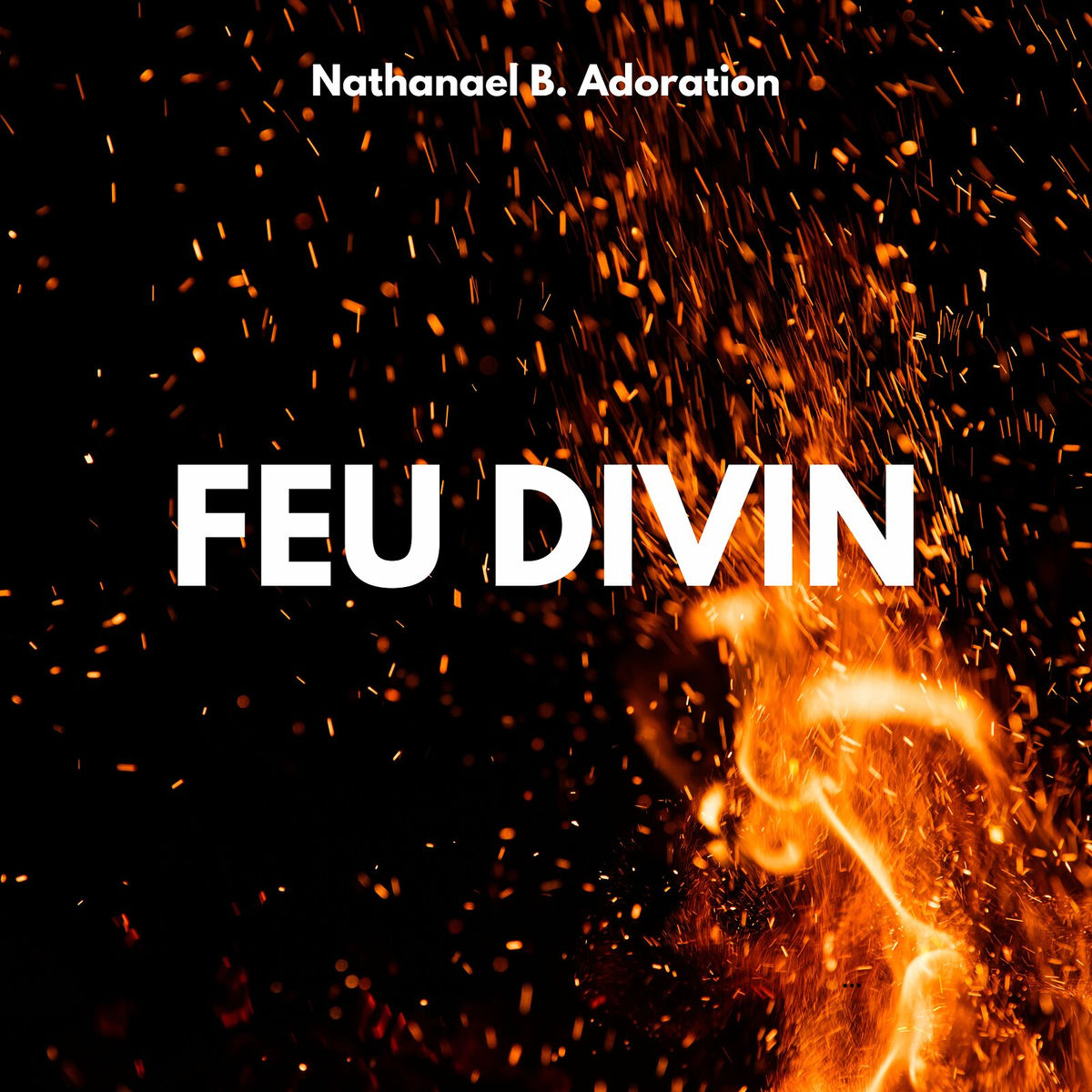 Album cover of FEU DIVIN