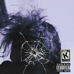 Cover of STITCHES