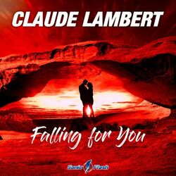 Cover of Falling for You
