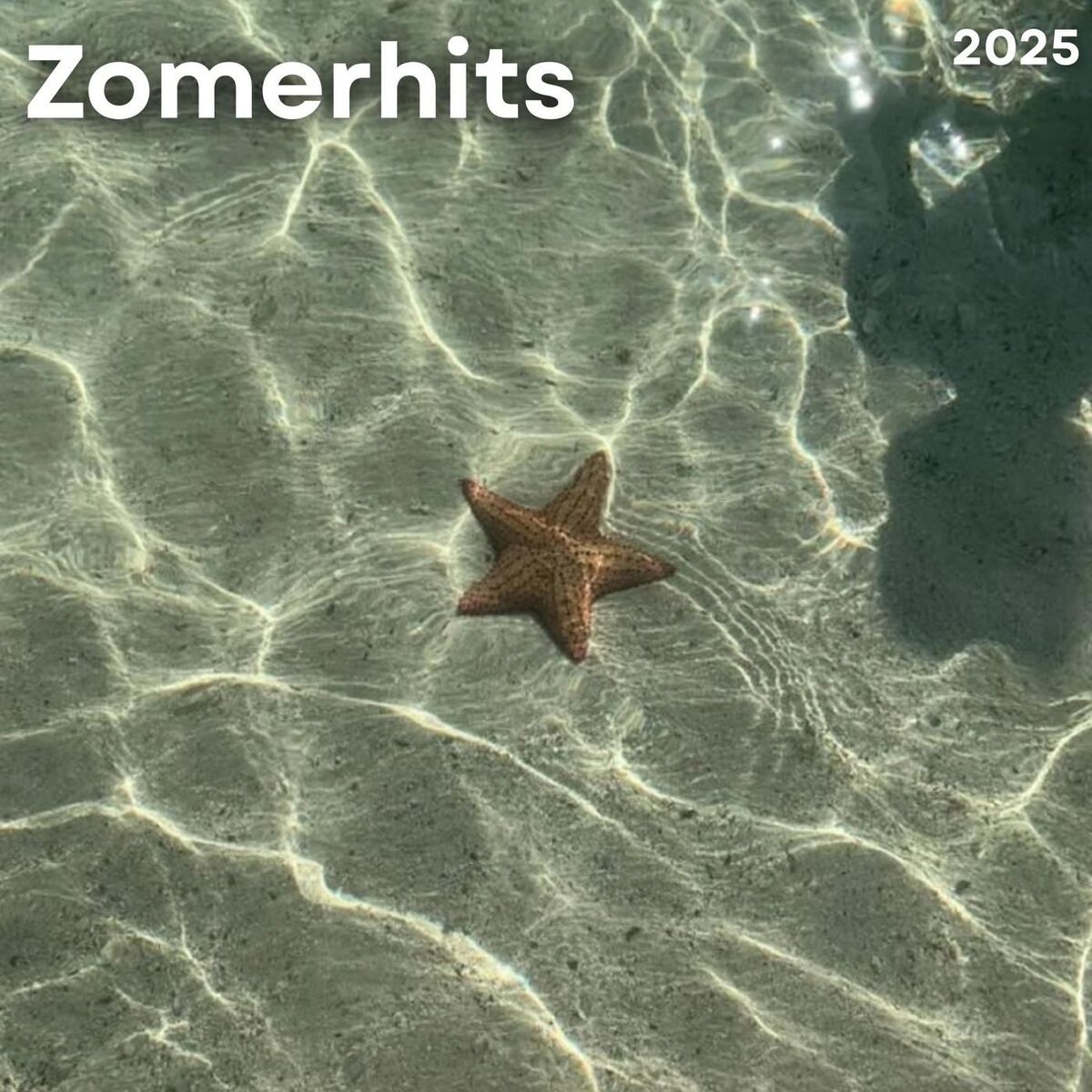 Album cover of Zomerhits 2025