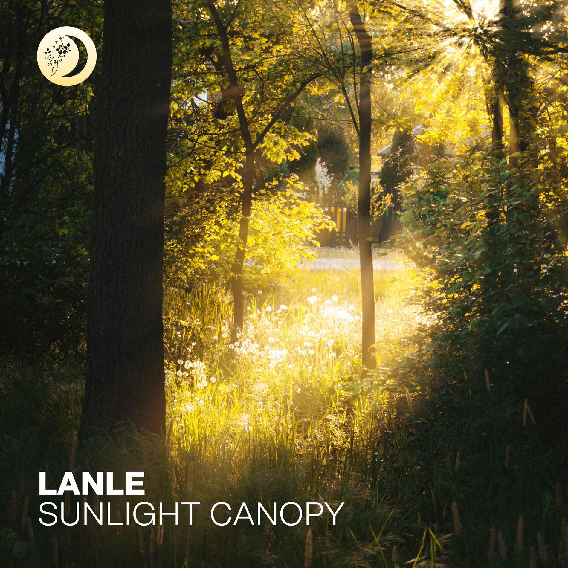 Album cover of Sunlight Canopy