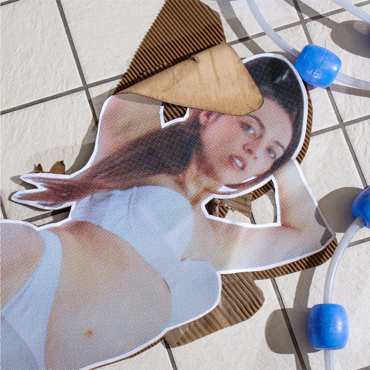 Album cover of Sansibar