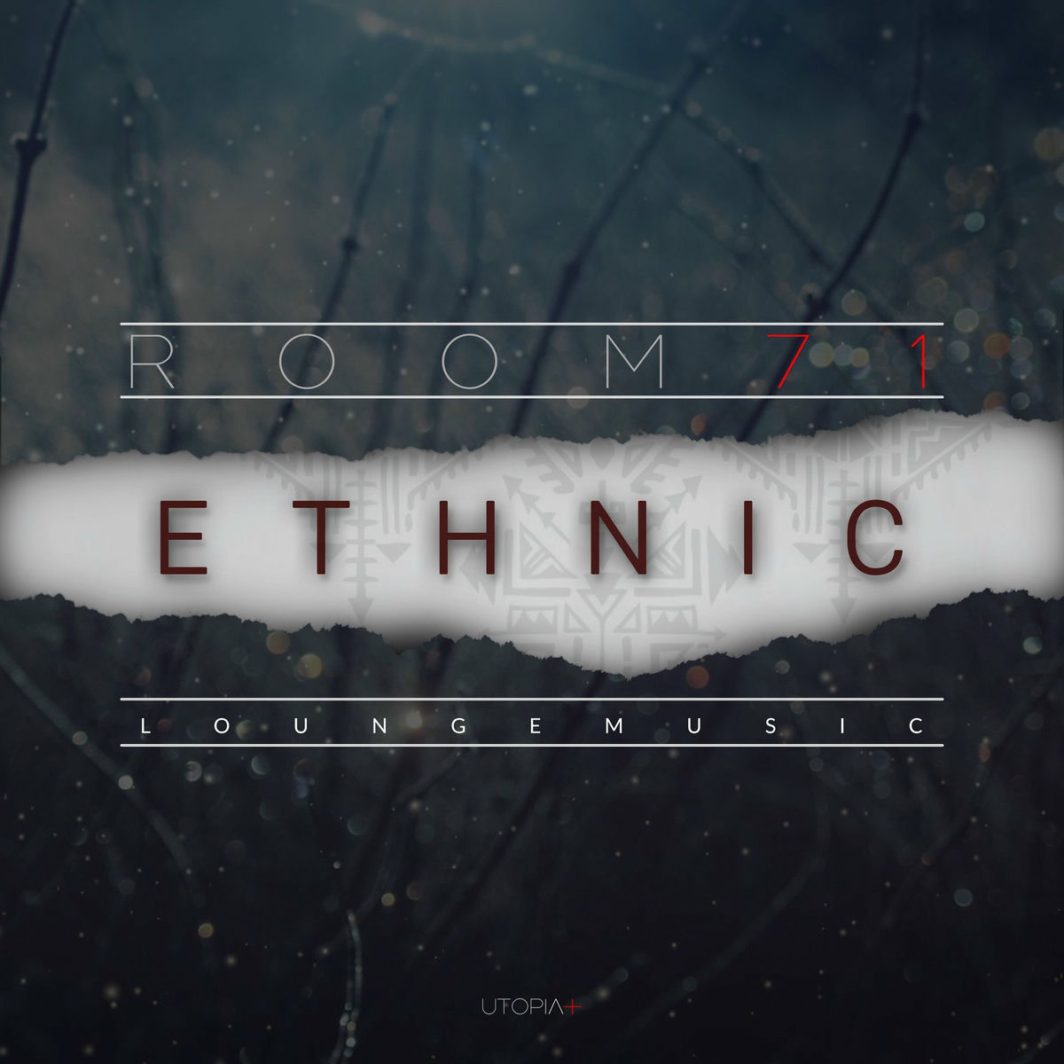 Album cover of Ethnic | Room 71 (Lounge Music)