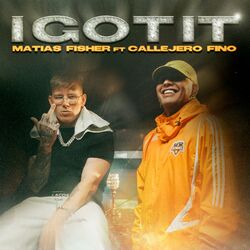 Cover of I GOT IT