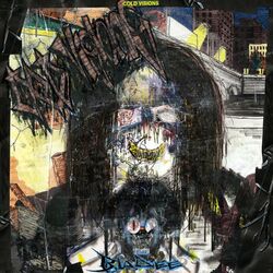 Cover of Cold Visions
