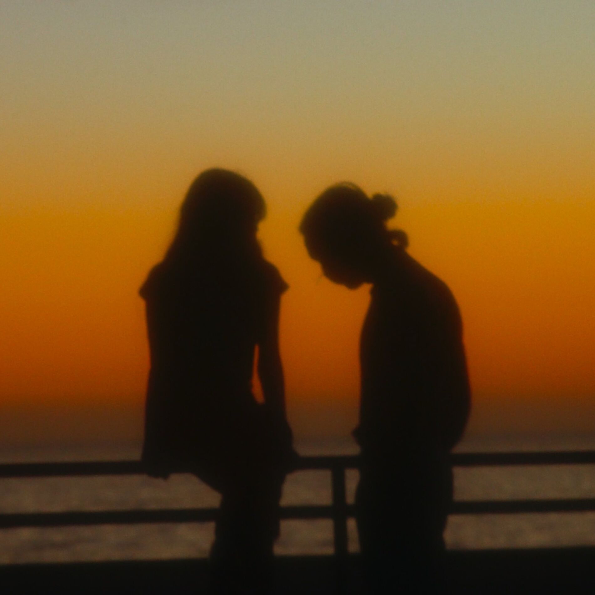 Album cover of Summer Nights