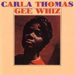 Cover of Gee Whiz