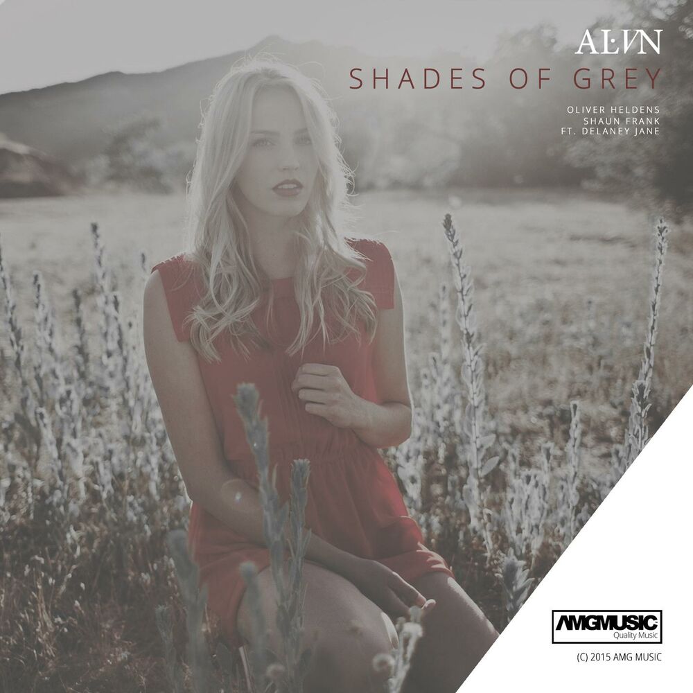 Picture of Shades of Grey (feat. Delaney Jane) (ALVN Remix)