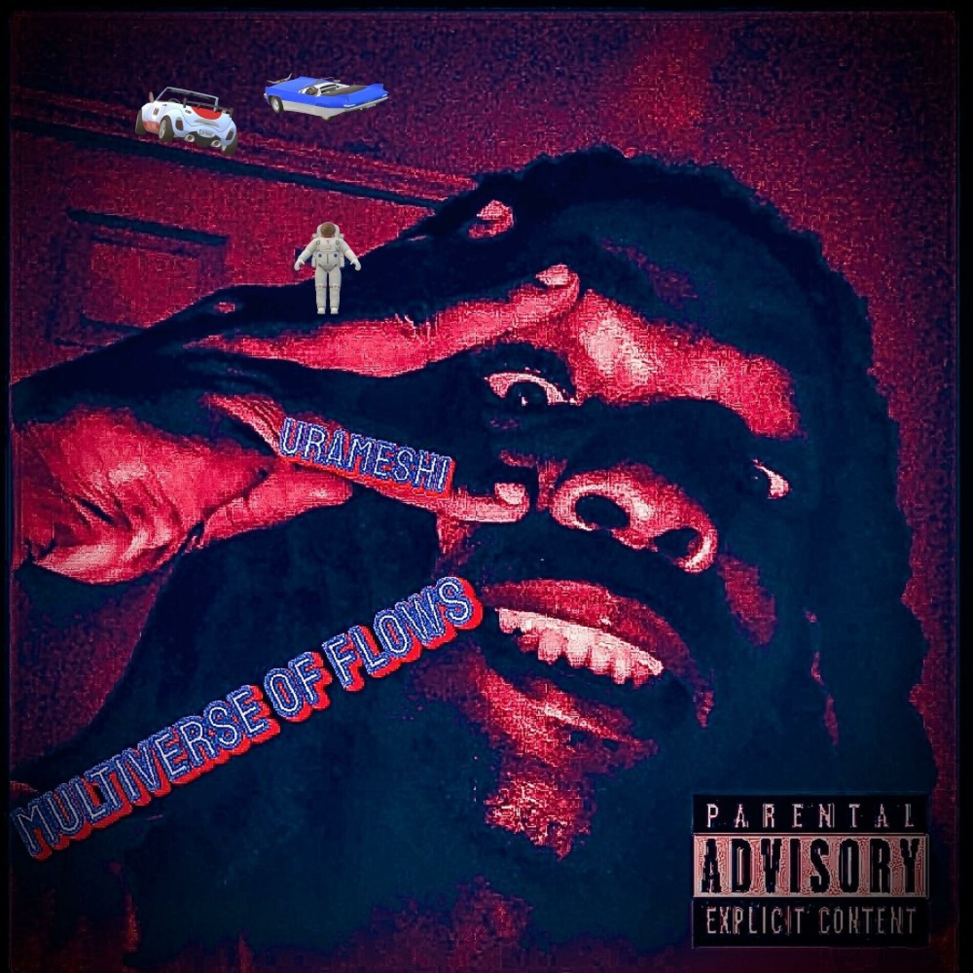 Album cover of Multiverse of flows