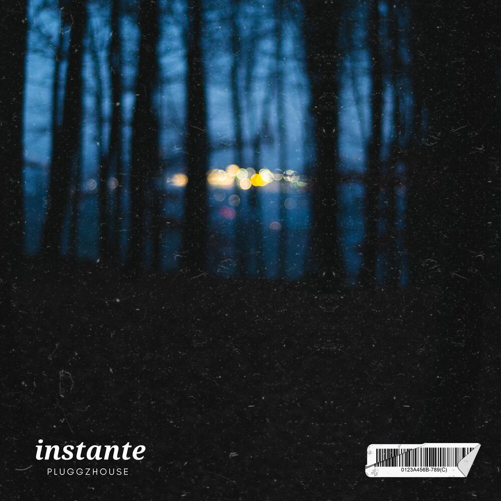 Picture of instante