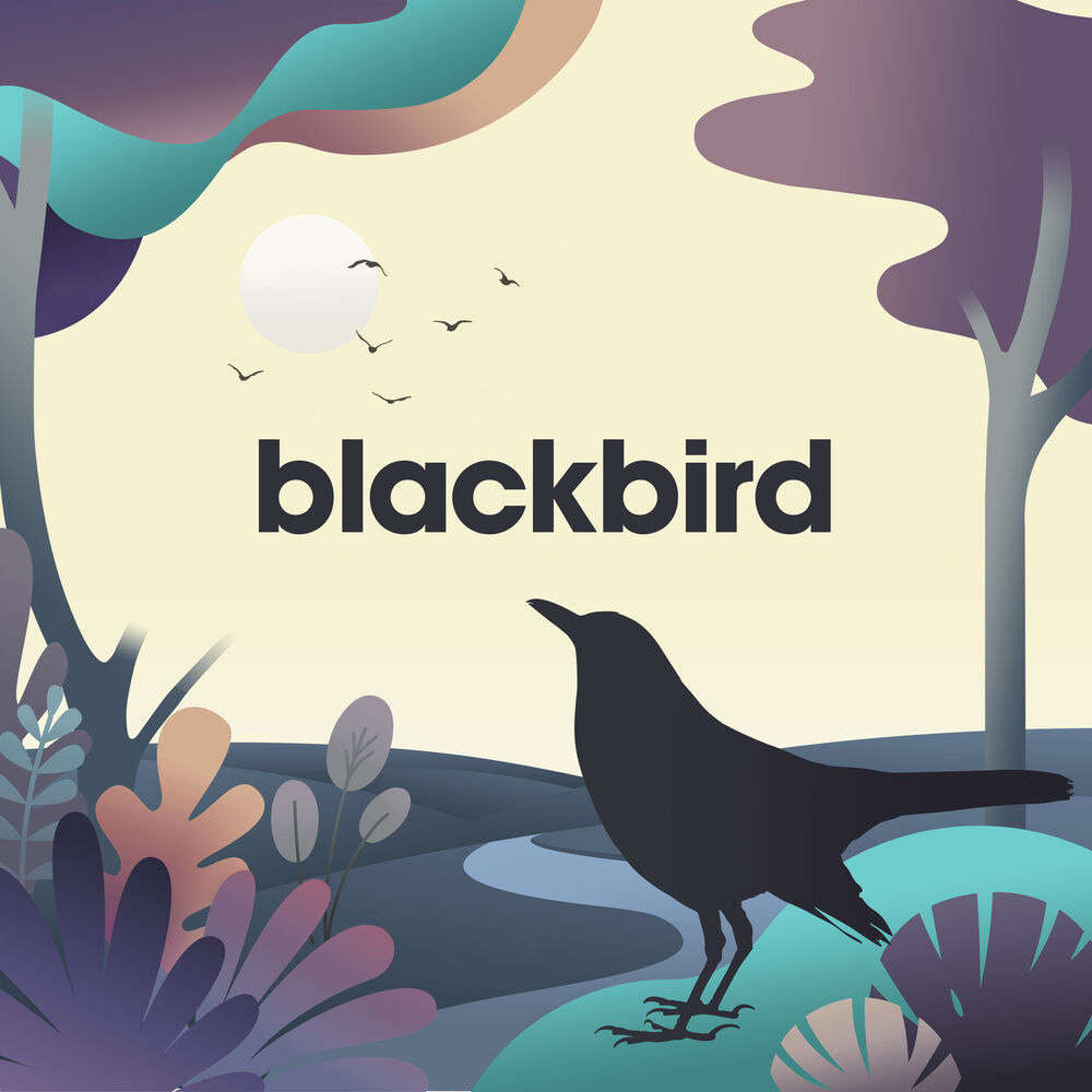 Picture of Blackbird - EP