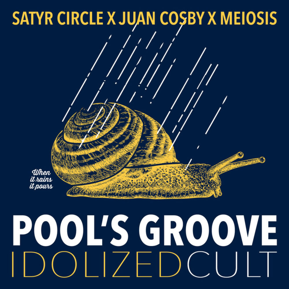 Picture of Pool's Groove - Single
