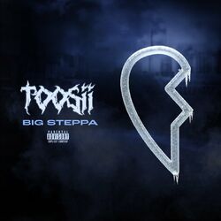 Cover of BIG STEPPA