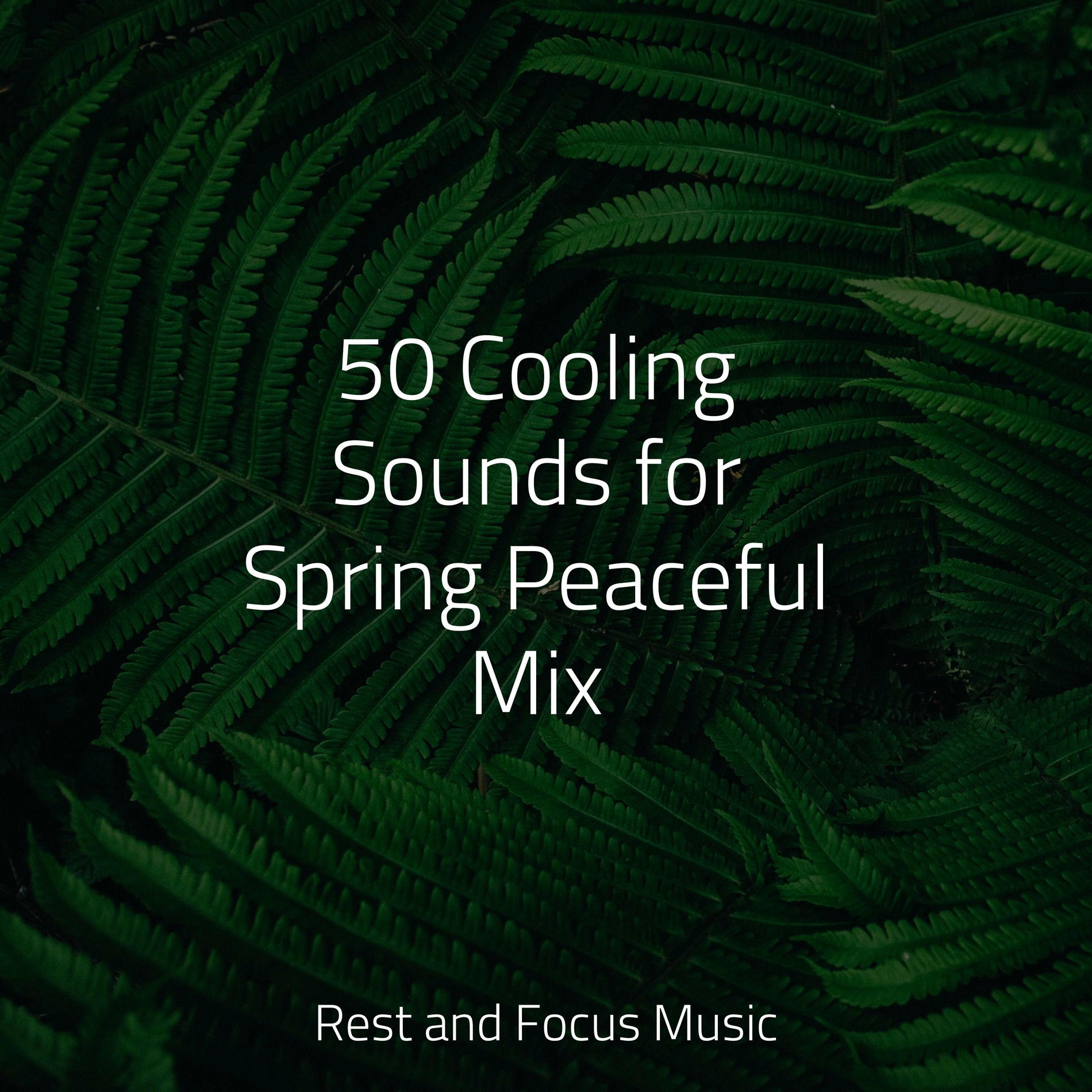 Album cover of 50 Cooling Sounds for Spring Peaceful Mix