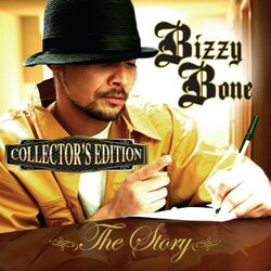 Cover of The Story (Collector's Edition)