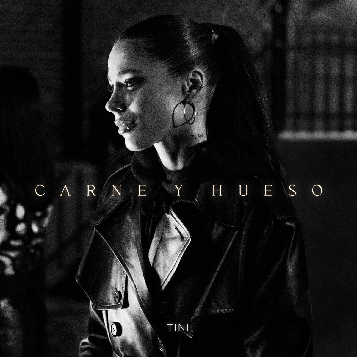 Album cover of Carne y Hueso