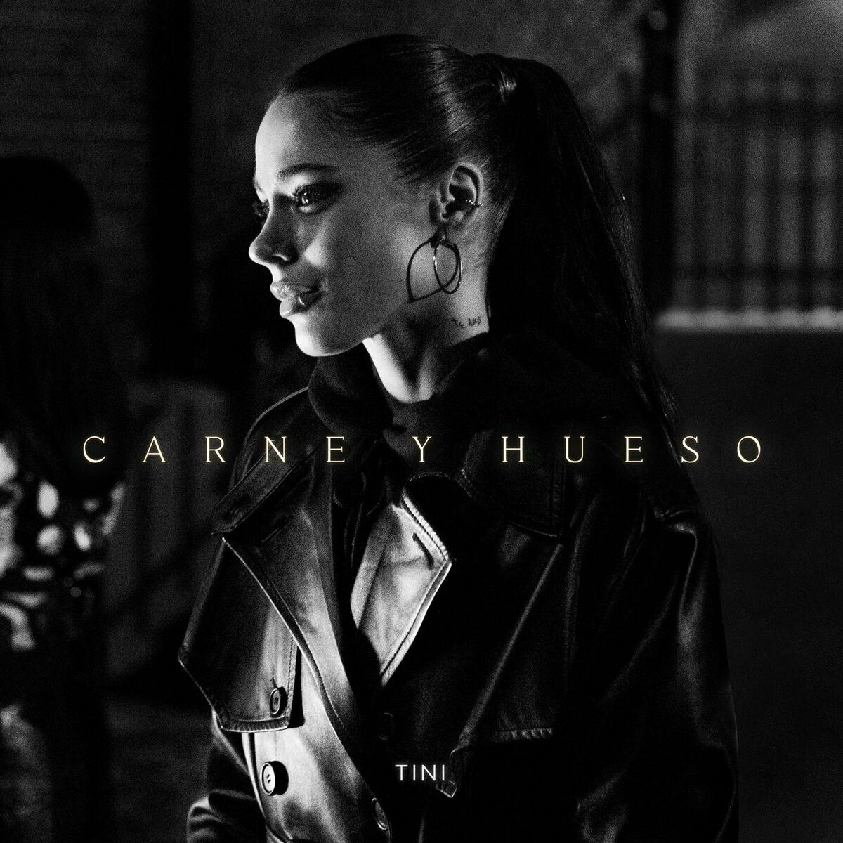 Album picture of Carne y Hueso
