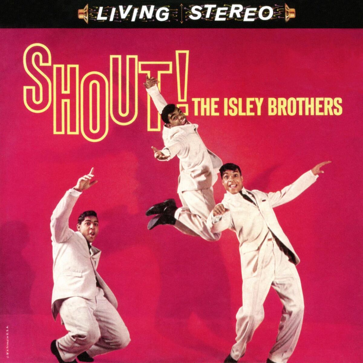 Album cover of Shout!