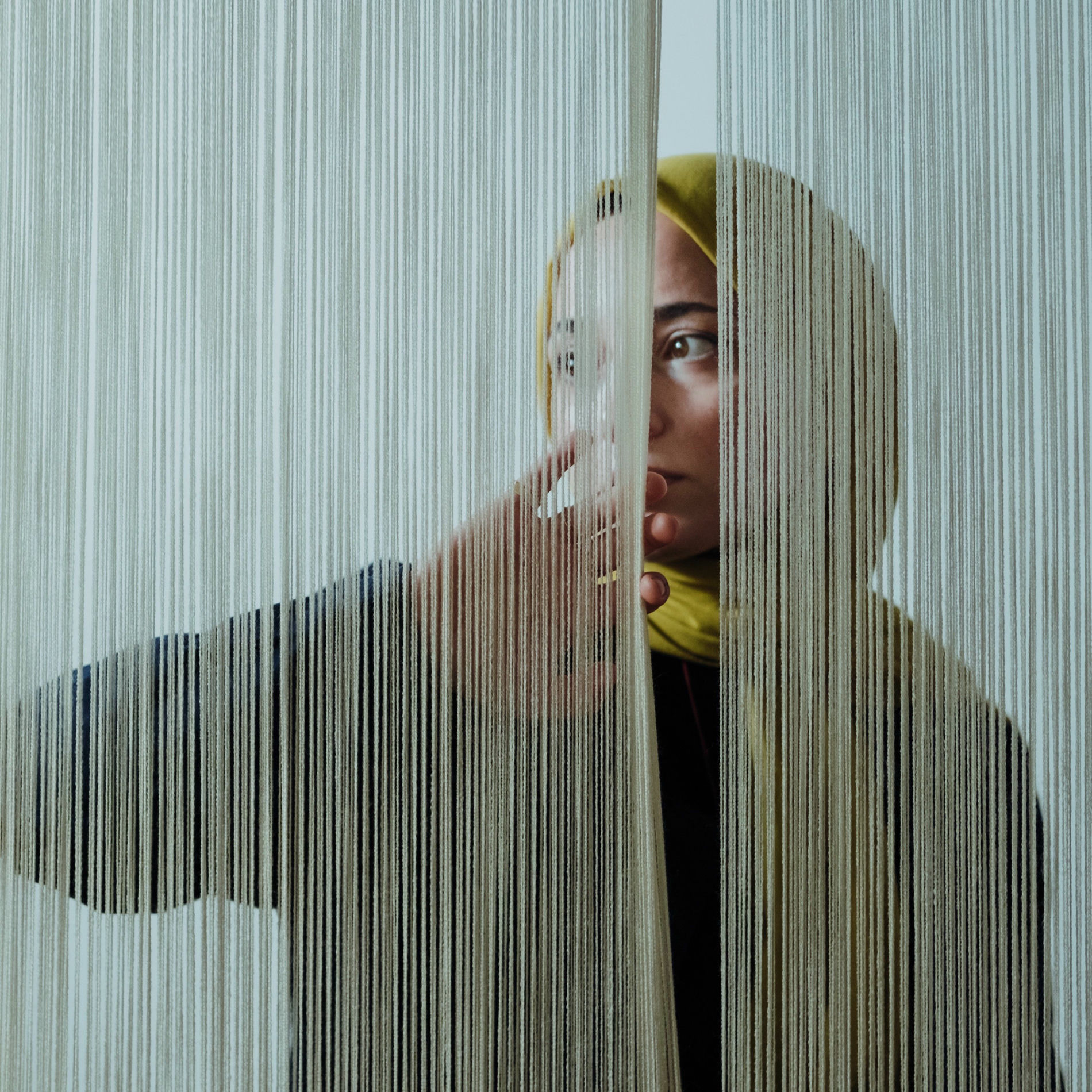 Album cover of Bird
