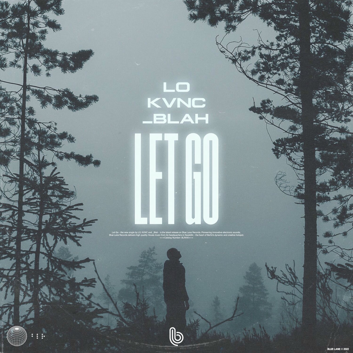 Album cover of Let Go