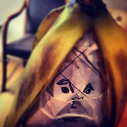 Cover of Chilli Bin Banana