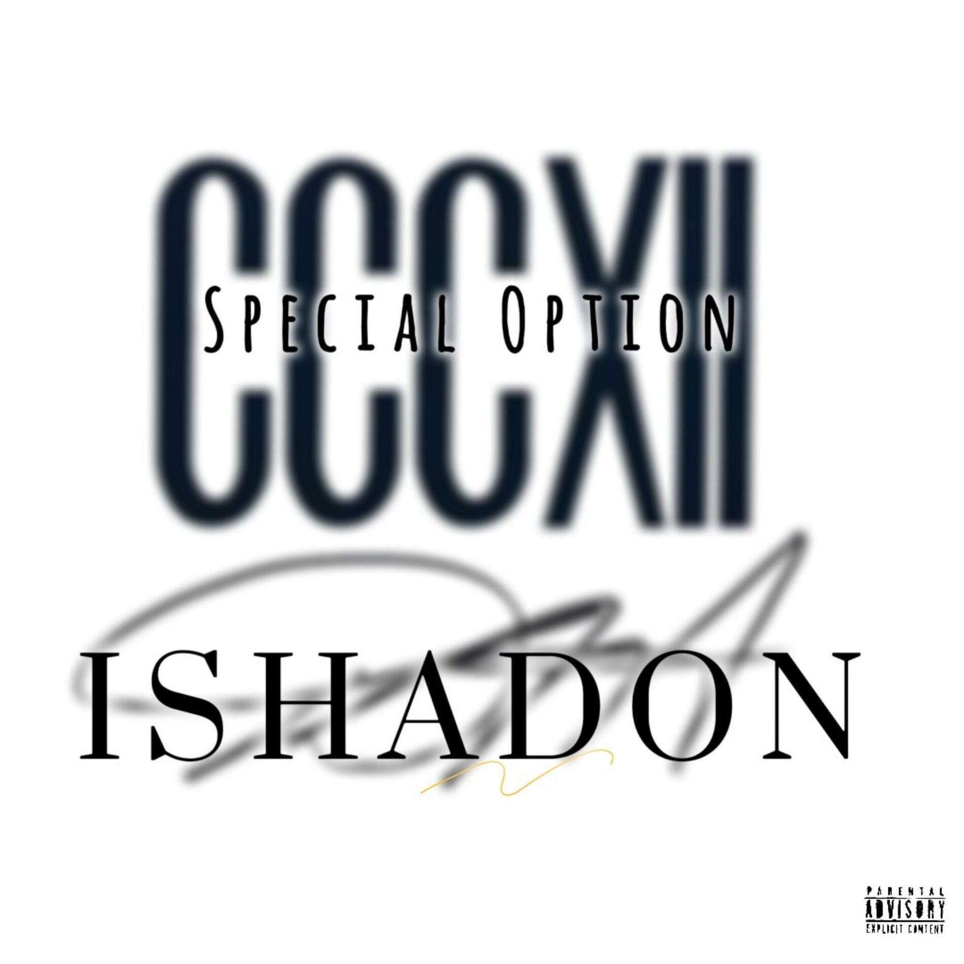 Album cover of Special Option