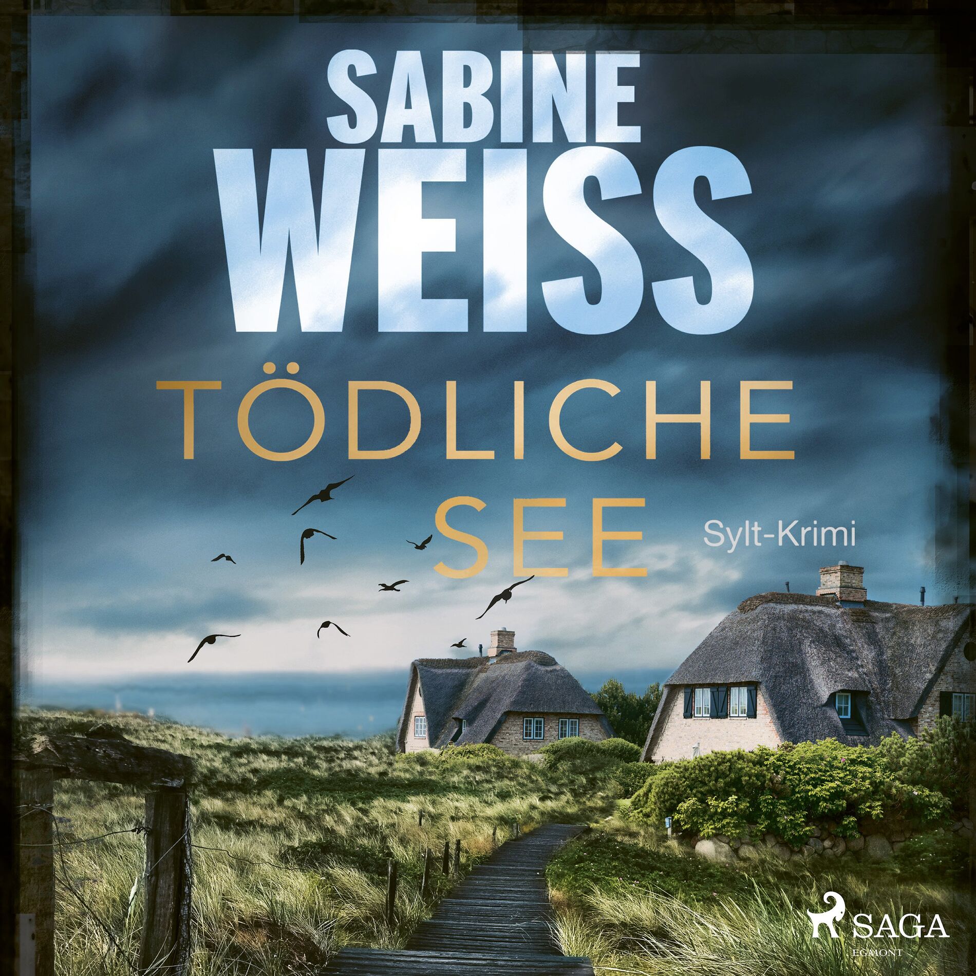 Album cover of Tödliche See: Sylt-Krimi (Liv Lammers, Band 5)