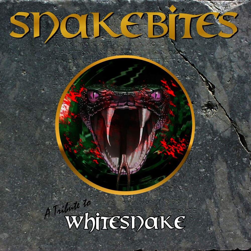 Picture of A Tribute to Whitesnake
