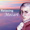 Flute Concerto No. 1 in G Major, K. 313 : Mozart: Flute Concerto No. 1 in G Major, K. 313: II. Adagio non troppo by Irena Grafenauer album cover