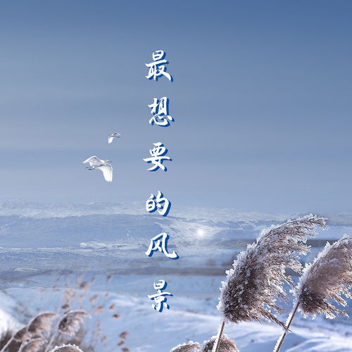 最想要的风景