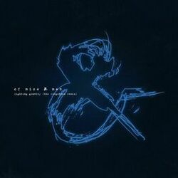 Cover of Fighting Gravity