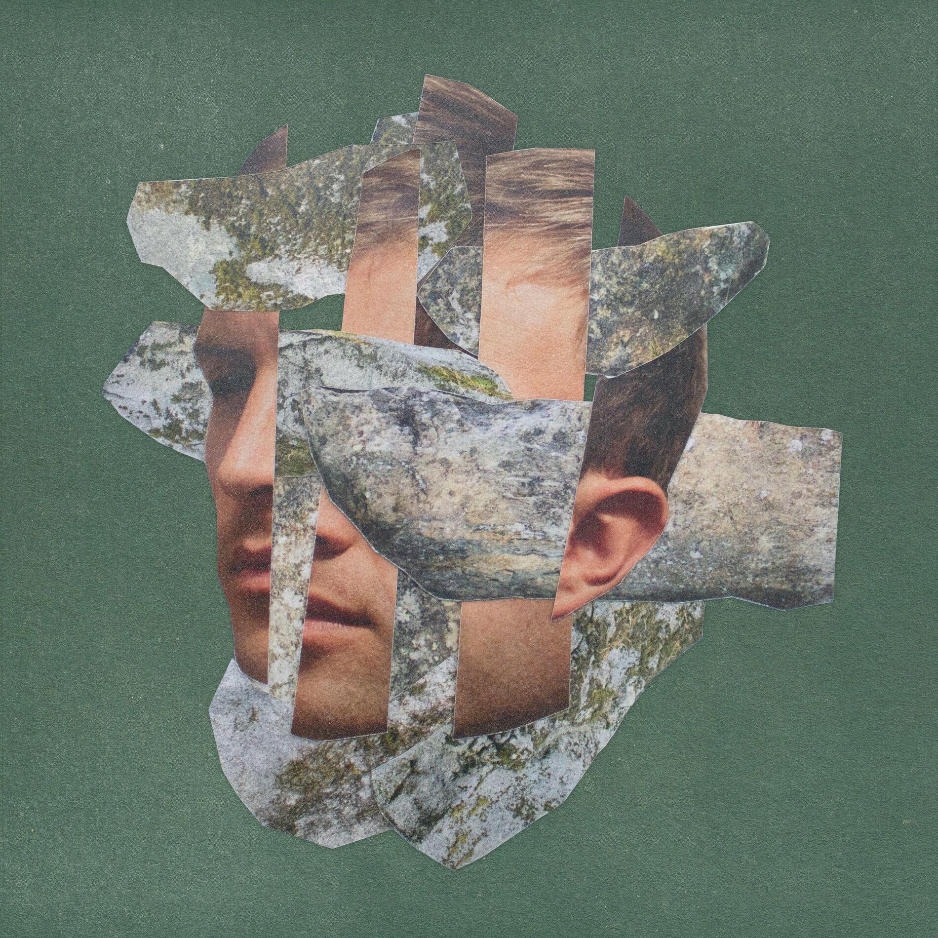 Album cover of Fortified