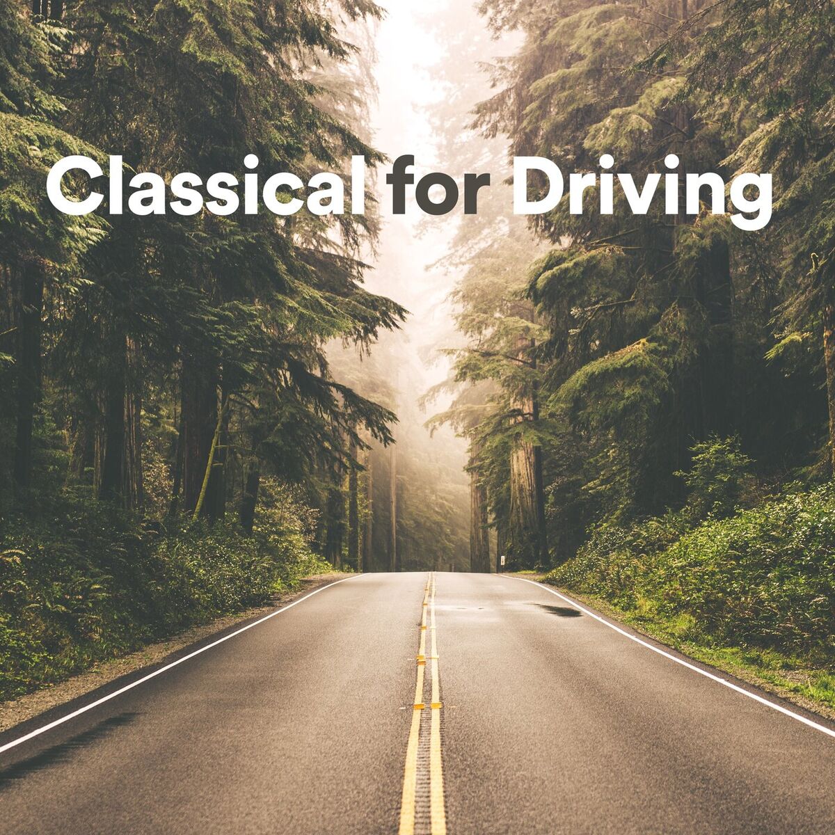 Album cover of Violin Concerto No. 2 in B Minor, Op. 7, MS. 48 : Paganini: Violin Concerto No. 2 in B Minor, Op. 7, MS. 48: III. Rondo à la clochette, 'La campanella'