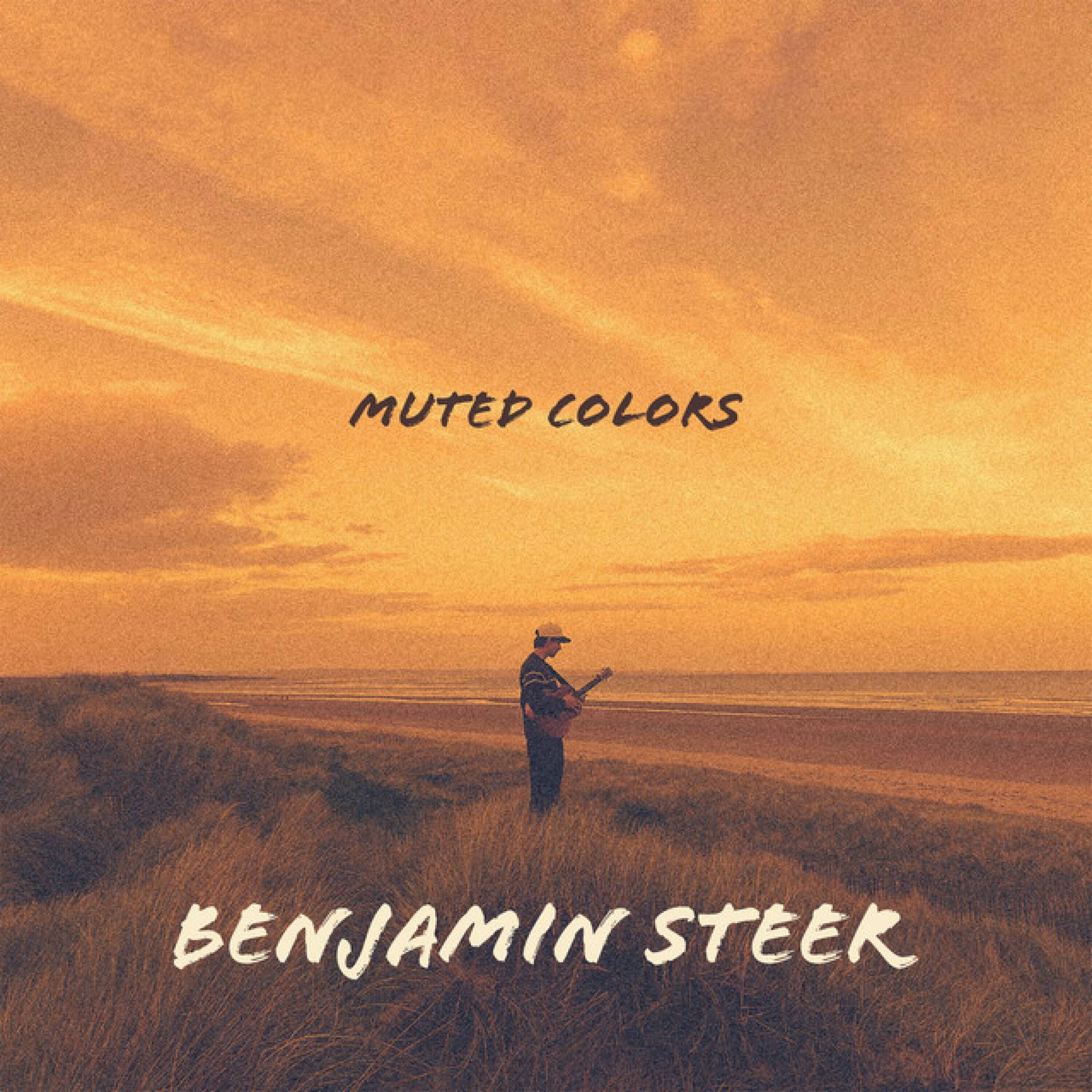 Album cover of Muted Colors