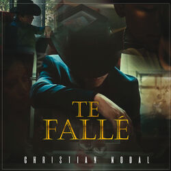 Cover of Te Fallé
