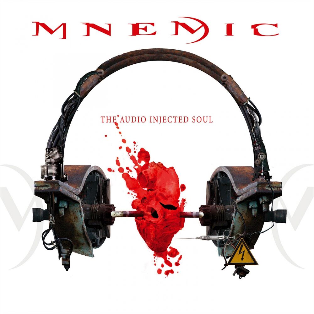 Picture of The Audio Injected Soul