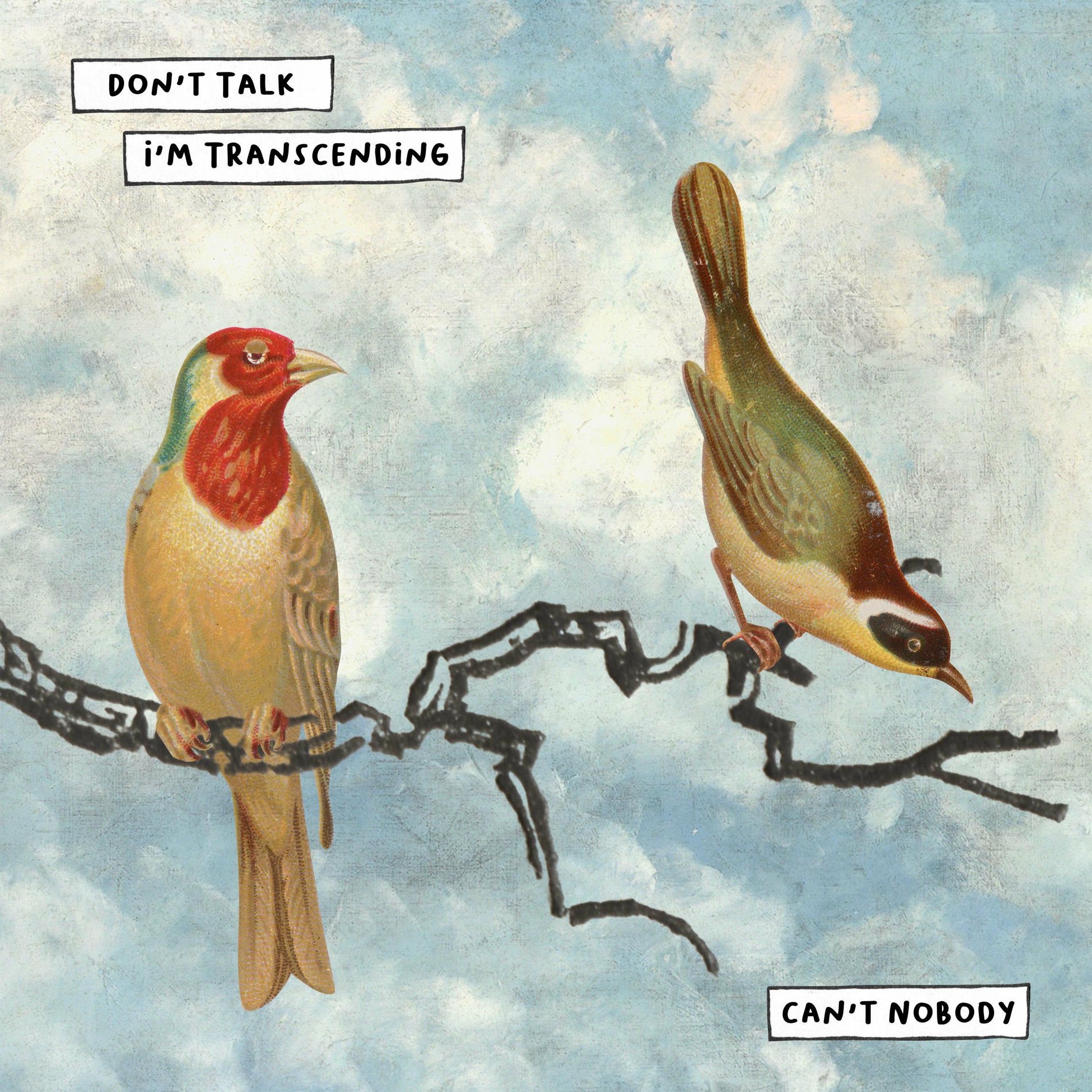 Album cover of Can't Nobody