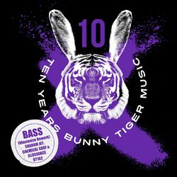 Cover of Bass (Illusionize Rework)