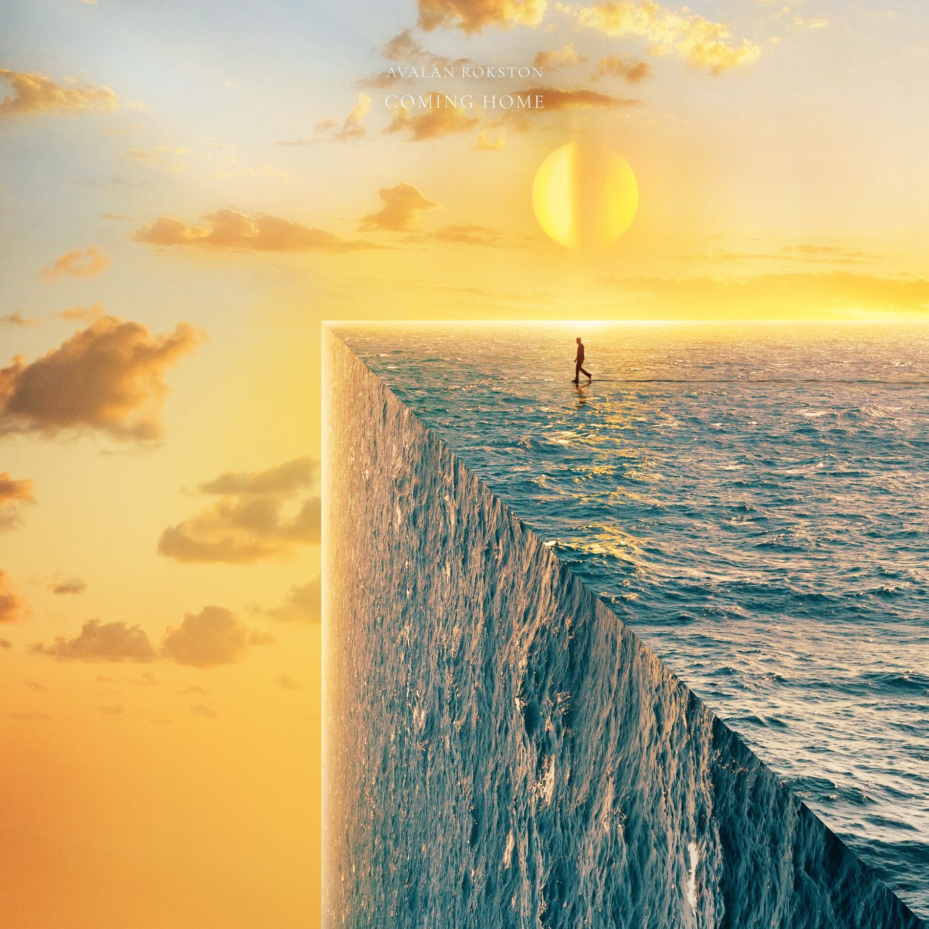 Album cover of Coming Home