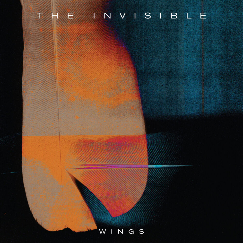 Picture of Wings