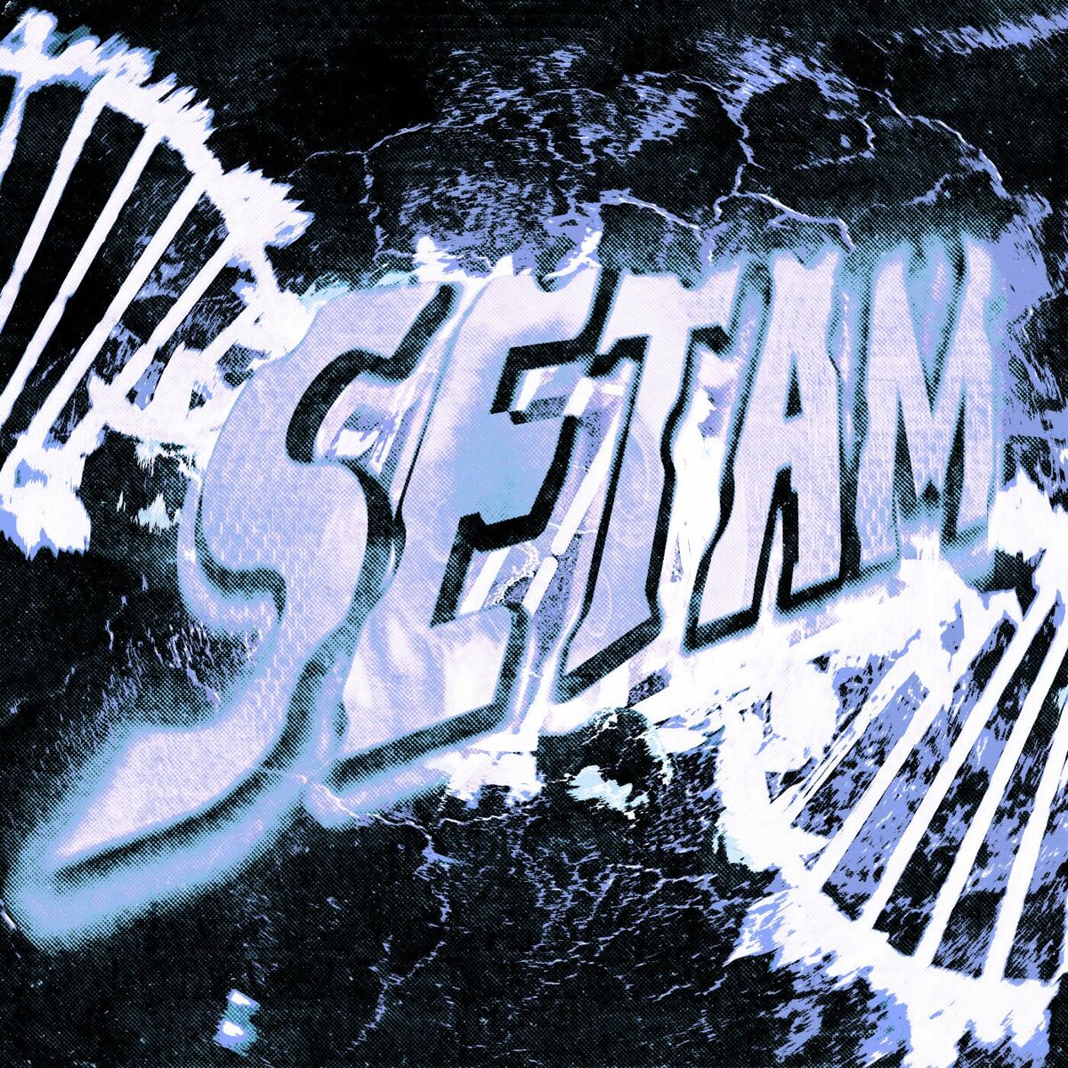 Album cover of SETAM