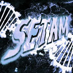 Cover of SETAM