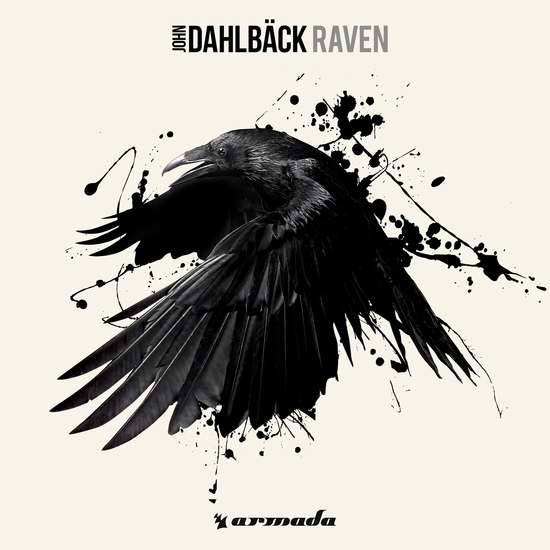 Album cover of Raven