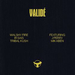 Cover of Validé