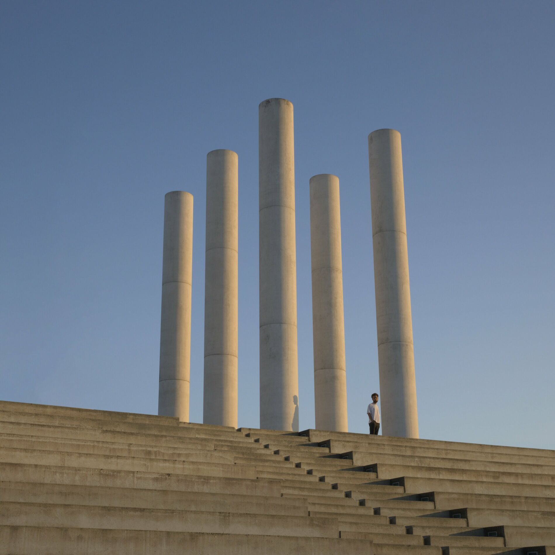 Album cover of Ancolie