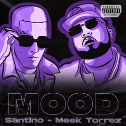 Cover of Mood