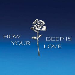 Cover of How Deep Is Your Love